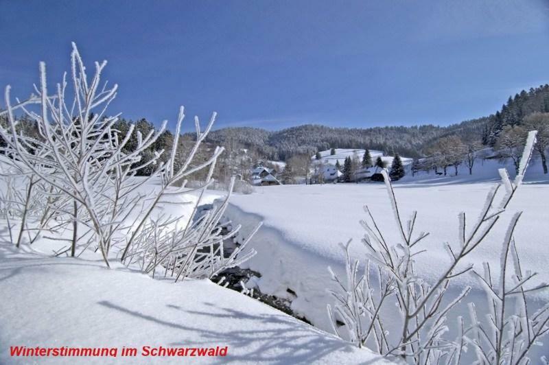 Ferienwohnung Schwarz Тодтмос Экстерьер фото
